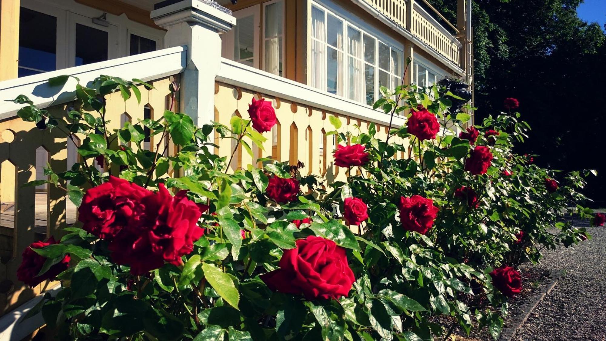 Fridhems Pensionat Visby Pokoj fotografie